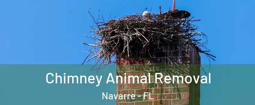 Chimney Animal Removal Navarre - FL
