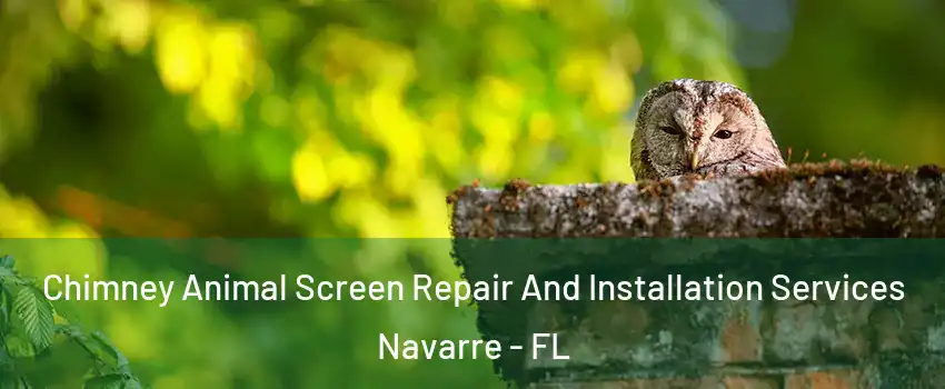  Chimney Animal Screen Repair And Installation Services Navarre - FL