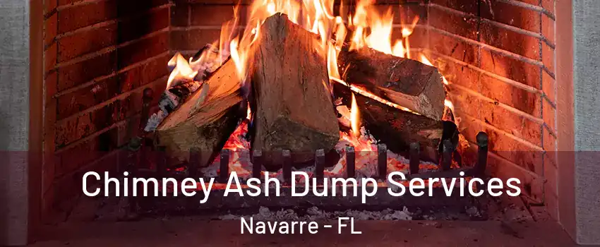  Chimney Ash Dump Services Navarre - FL
