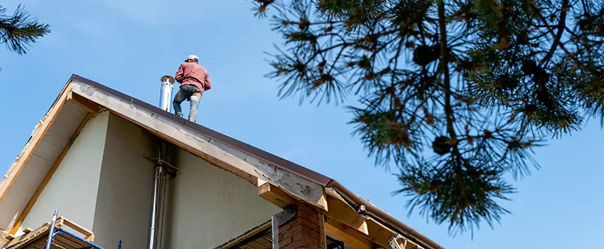 Birds Removal Contractors from Chimney in Navarre, FL