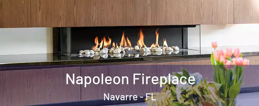  Napoleon Fireplace Navarre - FL